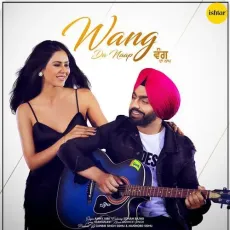 Wang Da Naap - Ammy Virk MP3 Songs