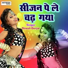Sejan Pe Le Chadh Gayo (Hindi Song) - Dinesh Gurjar MP3 Songs