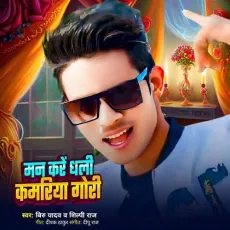 Man Kare Dhali Kamariya Gori - Biru Yadav, Shilpi Raj MP3 Songs