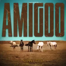 Amigoo - Siippyy Gill Download Mp3 - Siippyy Gill MP3 Songs