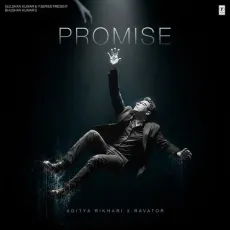 Promise - Aditya Rikhari, Ravator MP3 Songs