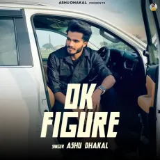 OK figure - Ashu Dhakal MP3 Song Download - Ashu Dhakal, Abhi Dhakal, Anjali99 MP3 Songs