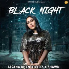 Black Night - Afsana Khan, Raees, Shawn MP3 Songs