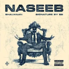 Naseeb - Bhalwaan Mp3 Song Free Download - Bhalwaan, Signature By Sb MP3 Songs