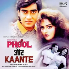 Maine Pyar Tumhi Se Kiya Hai - Phool Aur Kaante - Anuradha Paudwal, Kumar Sanu MP3 Songs