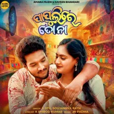 Papulire To Naa - S Jitu, Soujannya Rath MP3 Songs