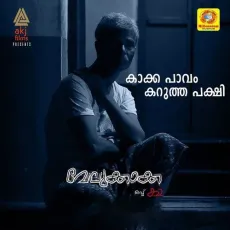 Kakka Pavam Karutha Pakshi - Vidyadharan Master, Yunuseo MP3 Songs