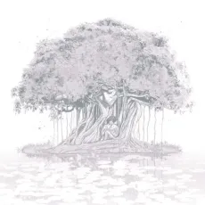 bargad - Sufr, Arpit Bala, Toorjo Dey MP3 Songs