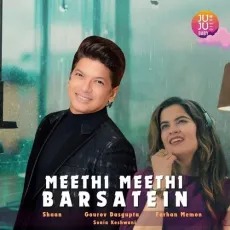 Meethi Meethi Barsatein - Shaan - Shaan, Gourov Dasgupta, Sonia Keshwani MP3 Songs