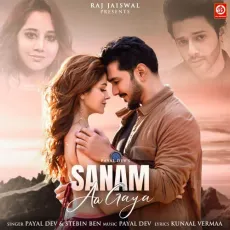 Sanam Aa Gaya - Payal Dev, Stebin Ben, Kunaal Vermaa MP3 Songs