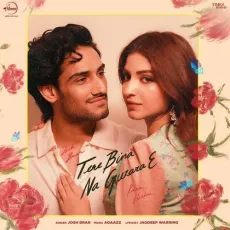 Tere Bina Na Guzara E - Josh Brar Play And Download mp3 song - Josh Brar MP3 Songs
