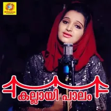 Kallayi Palam (Reprised Version) - Riyana Rameez MP3 Songs