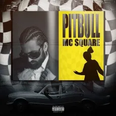 Pitbull - MC Square MP3 Song Download - MC Square, Thekidd.wav MP3 Songs