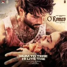 Hum To Tere Hi Liye The - O Romeo - Vishal Bhardwaj, Arijit Singh, Gulzar MP3 Songs