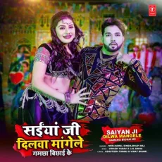 Saiyan Ji Dilwa Mangele Gamcha Bichai Ke - Neelkamal Singh, Shilpi Raj, Vikash Yadav, Lal Sinha MP3 Songs
