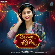 Dil Mora Karichi Seel - Diptimayee Das - Diptimayee Das MP3 Songs