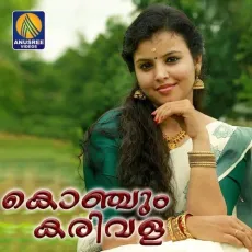 Pooviliyaay Pookkudayaay - Naren Pulappatta MP3 Songs