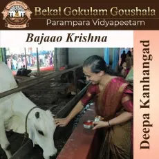 Bajaao Krishna - Parampara Vidyapeetam MP3 Songs