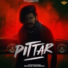 Pittar - Gulzaar Chhaniwala MP3 Songs