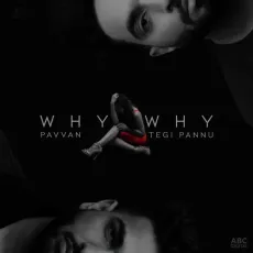 Why Why - Pavvan, Manav Sangha, Tegi Pannu MP3 Songs
