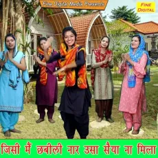 Jisi Main Chabili Naar Usa Saiya Na Mila - Meenakshi Mukesh MP3 Songs