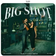 Big Shot - Yaada, Gurlej Akhtar MP3 Songs
