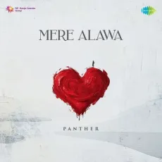 Mere Alawa - Panther - Panther MP3 Songs