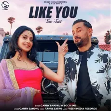 Like You (Tere Jaisi) - Garry Sandhu, Rahul Sathu MP3 Songs