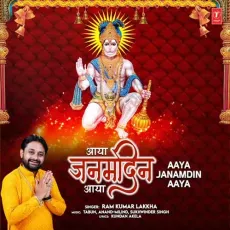 Aaya Janamdin Aaya - Ram Kumar Lakkha, Tabun, Anand-Milind, Sukhwinder Singh, Kundan Akela MP3 Songs