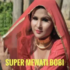 Super Mewati Bobi - Aslam Singer Mewati MP3 Songs