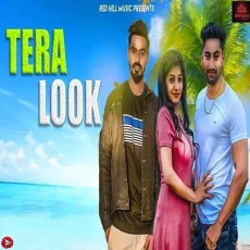 Tera Look - Raj Mawer MP3 Songs