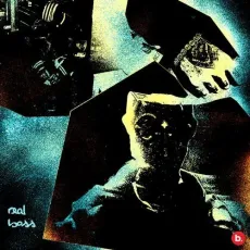 Ruthless - Real Boss Song - Real Boss MP3 Songs