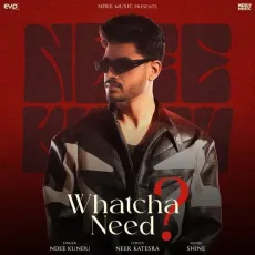 Whatcha Need - Ndee Kundu Free Mp3 Song - Ndee Kundu MP3 Songs