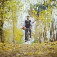 Dilshad - Yawar Abdal - Yawar Abdal MP3 Songs