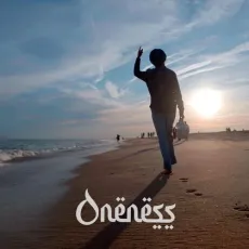 Oneness - Kanwar Grewal - Kanwar Grewal, Vari Rai, Gurmoh MP3 Songs