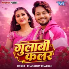 Gulabi Colour - Dhananjay Dhadkan MP3 Songs