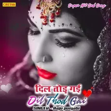 Dil Tod Gayi - Raju Punjabi MP3 Songs
