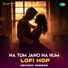 Na Tum Jano Na Hum Lofi Hop - Abhinav Parmar - Abhinav Parmar, Rajesh Roshan, Lucky Ali MP3 Songs