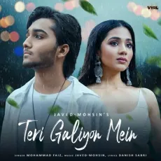 Teri Galiyon Mein - Mohammad Faiz - Mohammad Faiz, Javed-Mohsin, Danish Sabri MP3 Songs