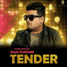 Tender - Raju Punjabi MP3 Songs