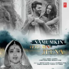 Tujhse Mil Kar - Namumkin Tere Bin Jeena - Javed Ali MP3 Songs