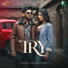 Try - Arav Sidhu Download mp3 song - Arav Sidhu, Sargi Maan, Diamond MP3 Songs