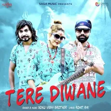 Tere Diwane - Sonu Vicky Brother MP3 Songs