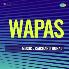 Ae Dil Khushi Se Ho Ja - Wapas - Shobha MP3 Songs