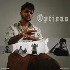 Options - Flop Likhari MP3 Songs