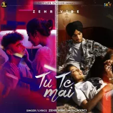 Tu Te Mai - Zehr Vibe MP3 Songs