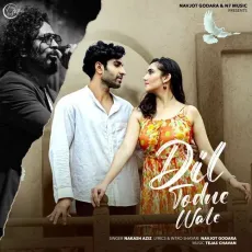 Dil Todne Wale - Nakash Aziz - Nakash Aziz, Navjot Godara MP3 Songs