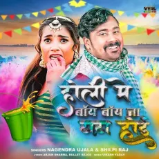 Holi Mein Bye Bye Na Tata Hoyi - Shilpi Raj, Nagendra Ujala MP3 Songs