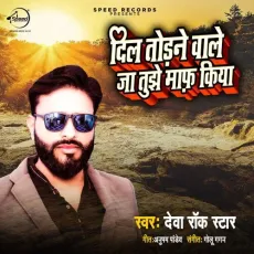 Dil Todne Wale Ja Tujhe Maaf Kiya - Deva Rock Star MP3 Songs