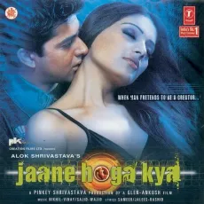 Palkein Uthake Dekhiye - Jaane Hoga Kya - Udit Narayan, Anuradha Paudwal MP3 Songs